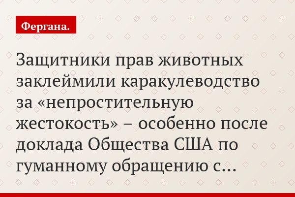 Защитники прав животных заклеймили каракулеводство за «непростительную жестокость» – особенно после доклада Общества США по гуманному обращению с…