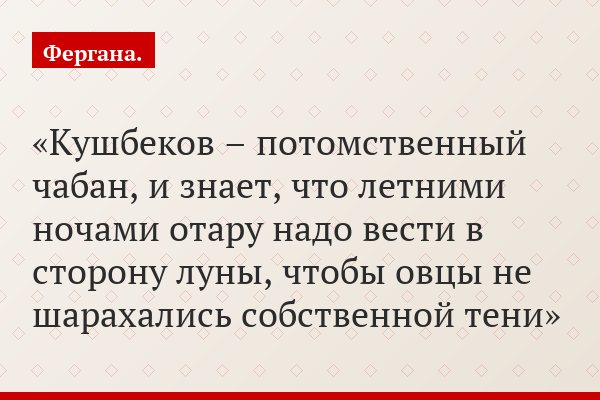 Кушбеков – потомственный чабан, и знает, что летними ночами отару надо вести в сторону луны, чтобы овцы не шарахались собственной тени
