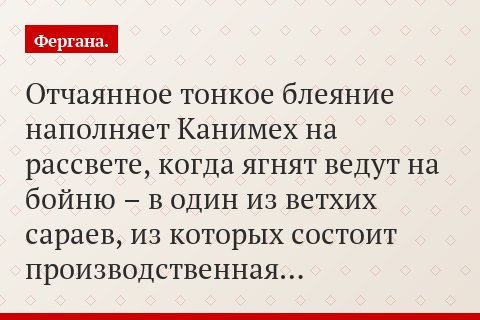 Отчаянное тонкое блеяние наполняет Канимех на рассвете, когда ягнят ведут на бойню – в один из ветхих сараев, из которых состоит производственная…