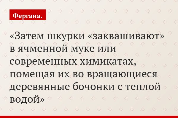Затем шкурки «заквашивают» в ячменной муке или современных химикатах, помещая их во вращающиеся деревянные бочонки с теплой водой