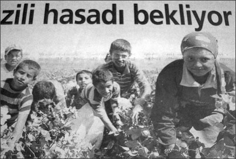 Дети с родителями на хлопковых полях. Фото из газеты Миллият