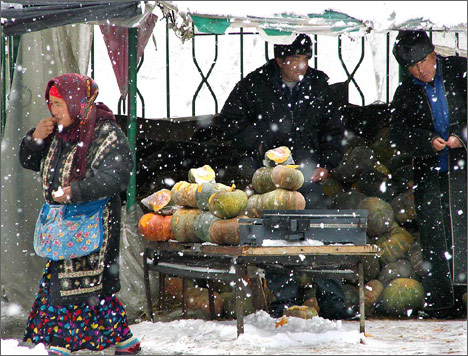 Ташкент, 14 февраля 2008 года. Фото ИА Фергана.Ру