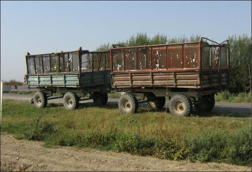 Закрома родины ждут урожая, собранного детскими руками